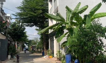 Hạ tầng nội khu dân cư Vạn Xuân Đường 8