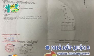 Pháp lý sổ đỏ tái định cư Đông Tăng Long